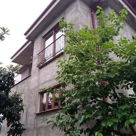 Mimoza Park House * 特拉布宗