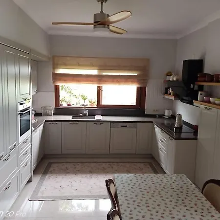 酒店 Mimoza Park House