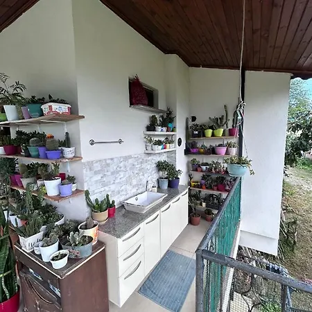 酒店 Mimoza Park House *