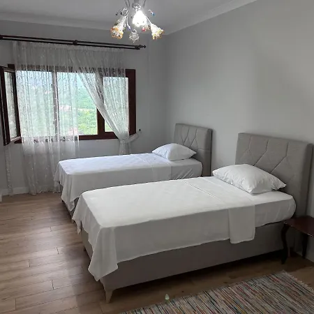 Mimoza Park House