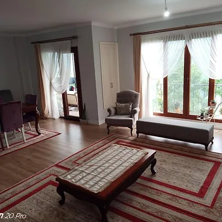 Mimoza Park House
