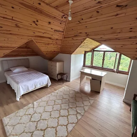 Mimoza Park House * 特拉布宗